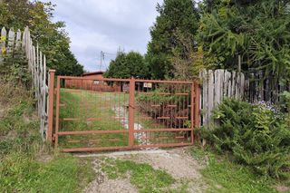 Śmierć w Gorcach. Krzysztofa użądliła pszczoła.