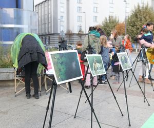 Ulicami Katowic przeszedł I Marsz Śląskiej Przyrody. Wydarzenie, jakiego jeszcze nie było