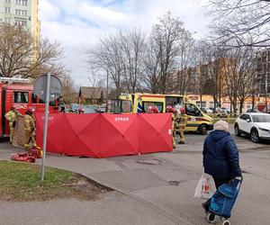 Bydgoszcz: Kierowca zjechał z drogi i uderzył w przydrożny słup