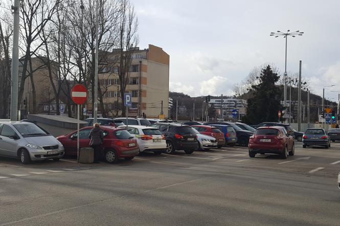 Miejsca parkingowe w okolicach Urzędu Miejskiego w Gdyni przez większość dnia są zajęte