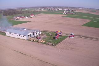 Ogromny pożar kurników w Podlaskiem. W środku było 17 tys. kurcząt