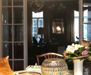 Dom Krystyny Jandy w Milanówku