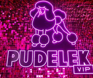 Pudelek Pink Party 2025 - Dominika Serowska