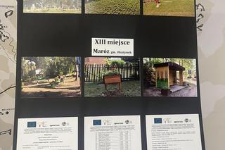 To najpiękniejsza wieś na Warmii i Mazurach? Poznaliśmy wyniki konkursu „Czysta i piękna zagroda, estetyczna wieś”