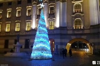 Świąteczne iluminacje na wrocławskich ulicach