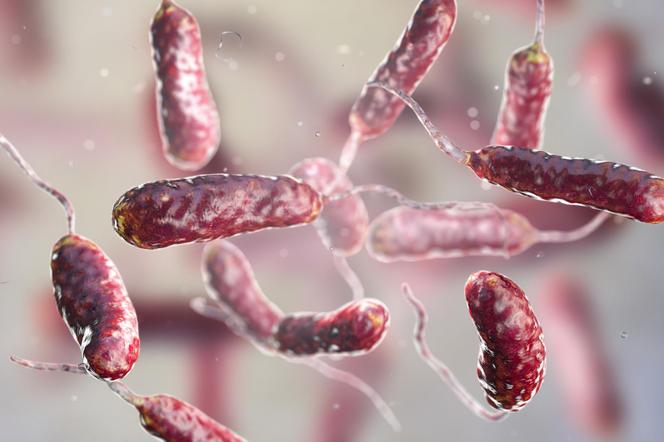 Mięsożerne bakterie pojawiły się w wodzie. Trzy osoby zjedzone żywcem