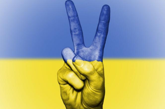 Wolna Ukraina