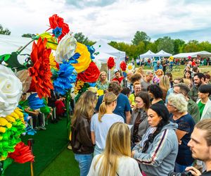 Wielki piknik kwietny finał 42. edycji konkursu „Warszawa w kwiatach”