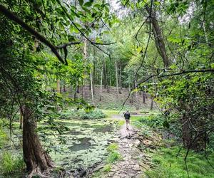 Park miejski Starachowice