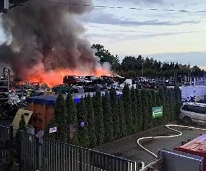 Pożar składowiska wraków samochodów w Maliniu koło Mielca