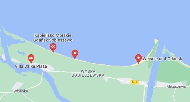 Dzika plaża na Wyspie Sobieszewskiej 