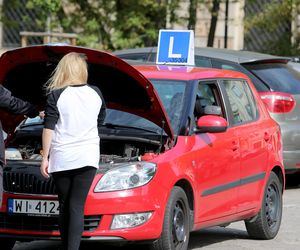 Gdzie najłatwiej zdać egzamin na prawo jazdy? W tych miastach zdawalność jest najwyższa