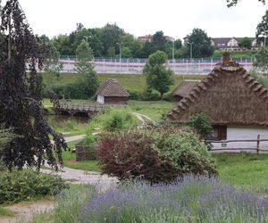 TOP 7 muzeów, które trzeba odwiedzić w woj. lubelskim. Wybrała je AI