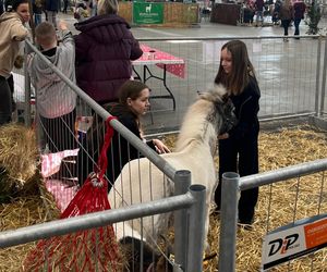 Wystawa i Targi Zoologiczne ZOOPark w Lublinie. Do zobaczenia było wiele pięknych zwierząt