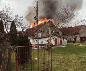 Zatrważająca ilość pożarów na Warmii i Mazurach. Co jest najczęstszą przyczyną? 