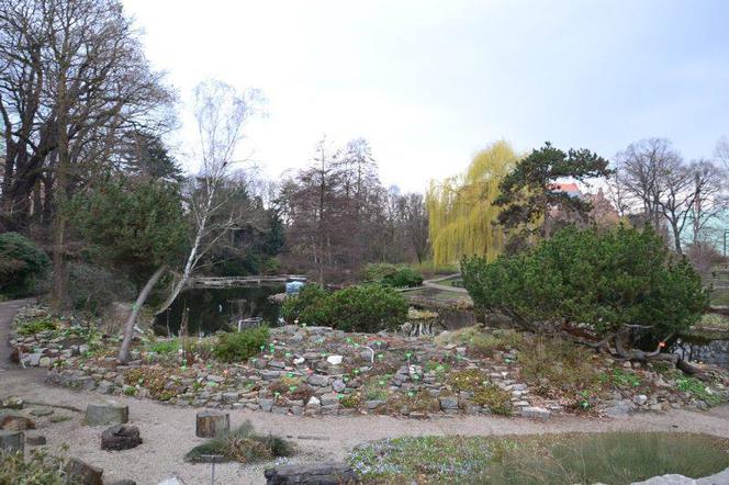 Ogród Botaniczny Uniwersytetu Wrocławskiego