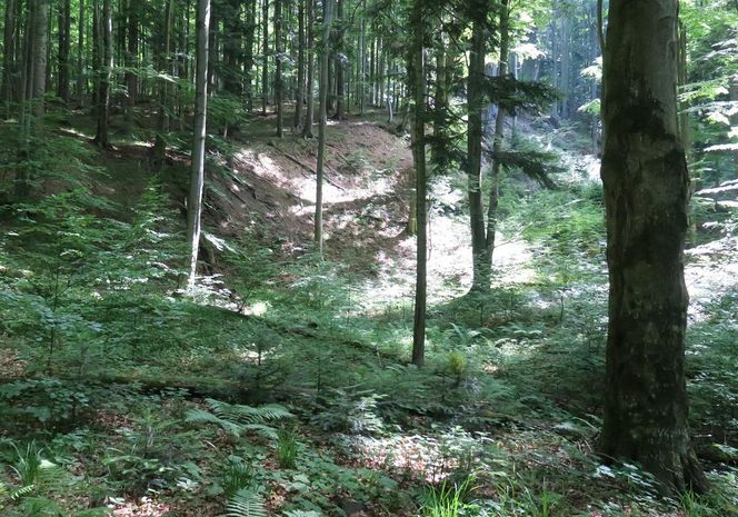 Jeziorka Duszatyńskie 