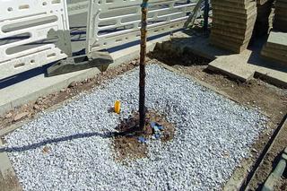 Nieznany sprawca podpalił świeżo posadzone drzewo na placu Rodła