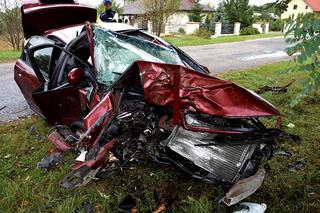 przez jeża miała wypadek