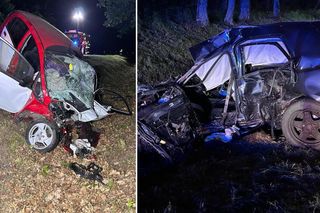 Śmiertelny wypadek pod Miliczem. 18-latek nie żyje [ZDJĘCIE]. 