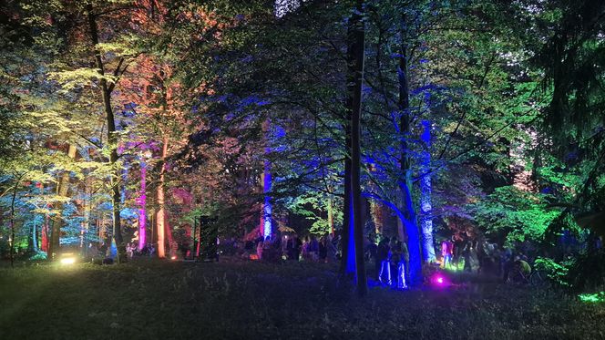 Olsztyn zamienił się w magiczną krainę. Park Świateł przyciągnął tłumy!