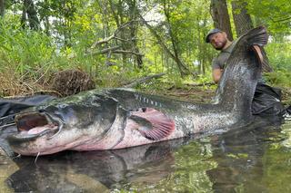 Michał i Grzesiek złapali 100-kilogramowego suma
