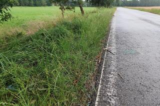 Wypadek w Bilczycach 