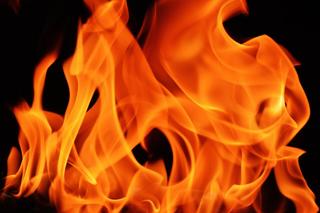 [AKTUALIZACJA - Sytuacja została opanowana] Pożar hali magazynowej w Wierzbicy - W trakcie gaszenia został poszkodowany strażak