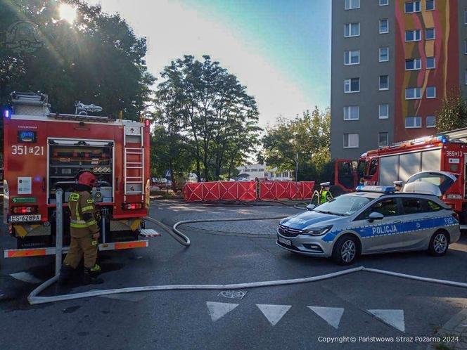 Pożar auta elektrycznego w Skierniewicach. Mężczyzna spłonął w środku [ZDJĘCIA]