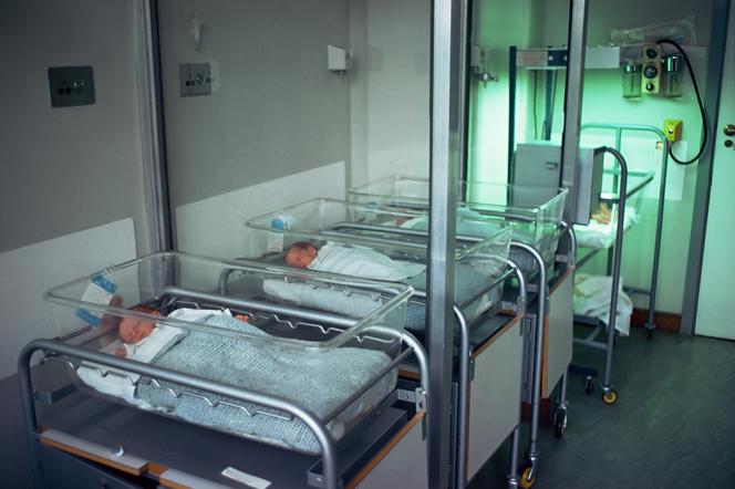 Noworodki w szpitalnych łóżeczkach