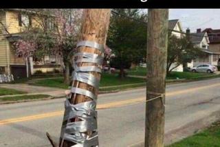 Początek roku akademickiego 2022/2023. Zobacz najlepsze memy o studiach i studentach!