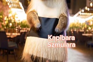 Kapibara w Szczecinie