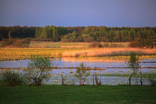 Najlepsze trasy wodne w Podlaskiem na letni weekend