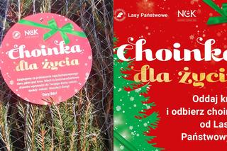 Oddaj krew i otrzymaj świąteczne drzewko – akcja „Choinka dla życia”