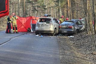 4-letnia Liwia patrzyła na śmierć mamy. Mamo, mamusiu. Szokujące informacje na temat 21-latka kierującego volkswagenem