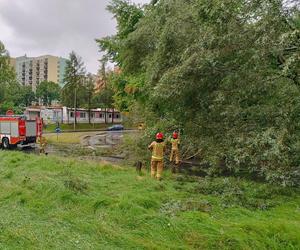 Burze i nawałnice nad Podkarpaciem. Strażacy interweniowali prawie 500 razy [ZDJĘCIA]