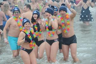 Tysiące morsów wykąpało się w Bałtyku