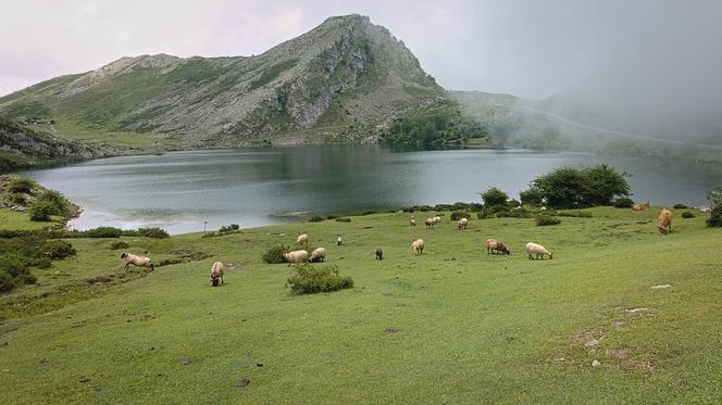 Picos de Europa, Hiszpania