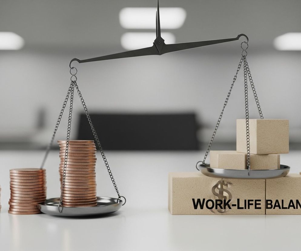Centralnym elementem obrazu jest waga szalkowa o metalowym, czarnym korpusie i srebrnych szalkach wiszących na łańcuszkach. Na lewej szalce znajduje się duża sterta miedzianych monet, ułożonych w wysoką kolumnę, a obok niej, poza szalką, dwie mniejsze kolumny monet. Prawa szalka unosi się wyżej niż lewa i zawiera trzy jasnobeżowe, sześcienne klocki, ułożone w piramidę.

Pod prawą szalką leżą kolejne cztery podobne klocki, z których jeden, położony najbliżej środka, ma nadrukowany srebrny symbol dolara i czarny napis WORK-LIFE BALANCE. Tło stanowi rozmyte pomieszczenie w odcieniach szarości, z widocznymi prostokątnymi źródłami światła na suficie.
