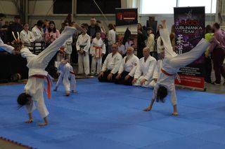 Namiastka kraju kwitnącej wiśni, czyli targ japoński w Lublinie