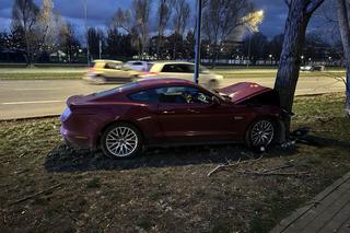 Roztrzaskał się mustangiem na drzewie. Wstrząsający wypadek, kierowca w ciężkim stanie