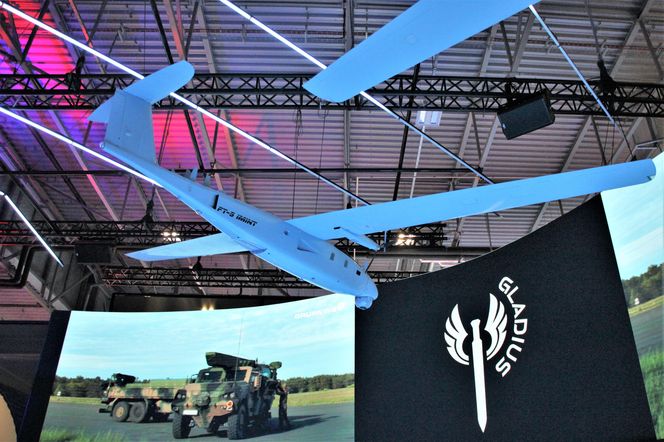 MSPO 2025: Grupa WB