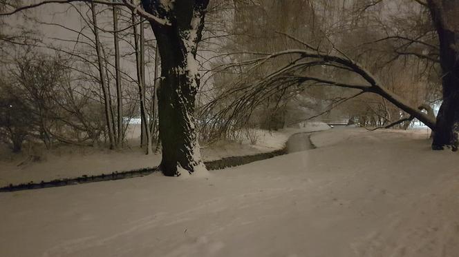 Idzie prawdziwa zima! Na termometrach dwucyfrowy mróz już od piątku. Brrrr!