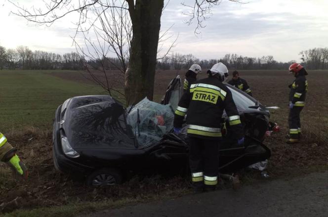 Wypadek w powiecie świeckim. Kierowca został przetransportowany do szpitala śmigłówcem! [ZDJĘCIA]