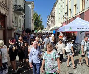 Święto ulicy Niecałej 