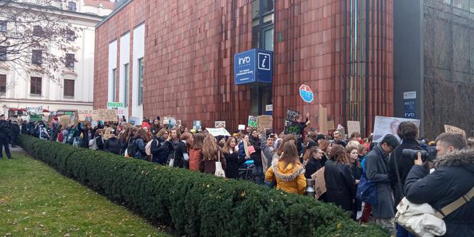 Wielki protest w Krakowie. Strajkowali w obronie klimatu 