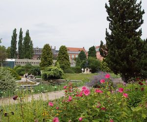 Wielka atrakcja w samym centrum Wrocławia. Otwarcie już pod koniec marca 