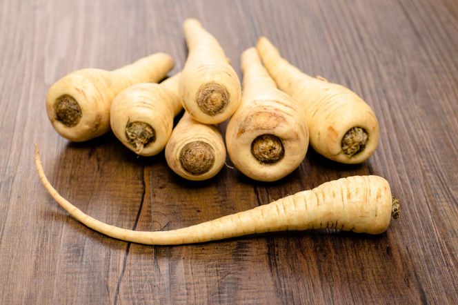 Pasternak – uprawa, zastosowanie i przechowywanie