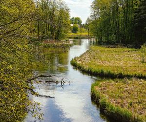 Gdzie odpocząć bez tłumów w Podlaskiem? 5 propozycji na długi czerwcowy weekend