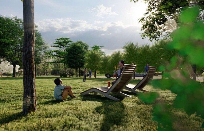 Godów nazwie park na cześć Franciszka Pieczki